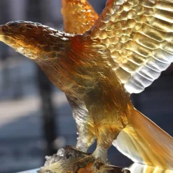 Aigle ambre gris daum