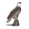 Aigle gris pm daum