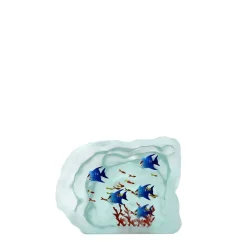 Aquarium poissons verre – yves trucchi