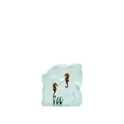 Aquarium poissons verre yves trucchi