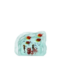 Aquarium poissons verre yves trucchi