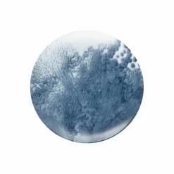 Assiette plate 21 cm motif n°1 Abysses Raynaud