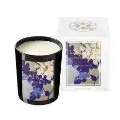 Bougie parfumée Figuier Amalfi Italie Lalique