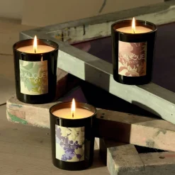 Bougie parfumée Santal Goa Inde Lalique