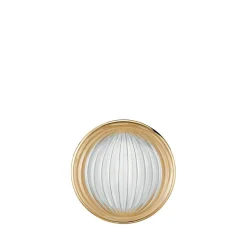 Broche vibrante lalique