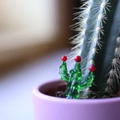 Cactus miniature verre à la flamme