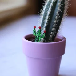Cactus miniature verre à la flamme