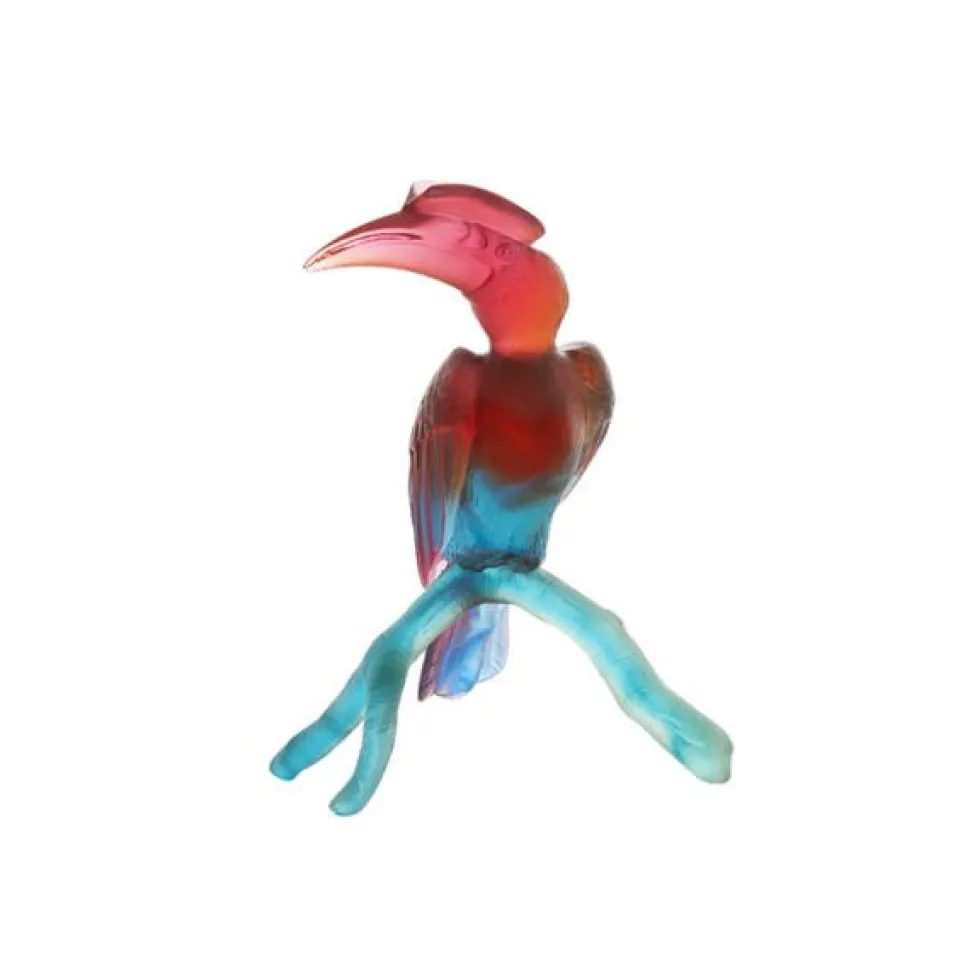 Calao sur branche daum