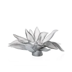 Centre de table agave emilio robba daum