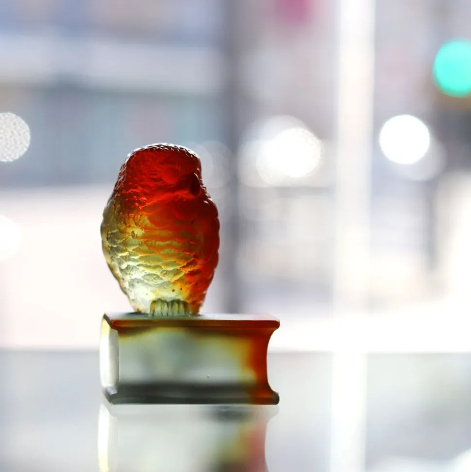 Chouette ambre grise sur livre daum