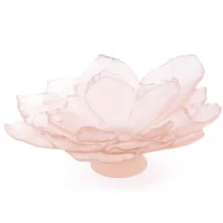 Coupe grand modèle camelia daum