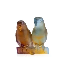 Couple perruches ambre daum