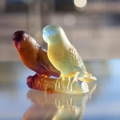 Couple perruches ambre daum