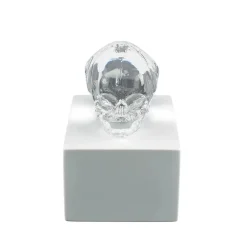 Crâne eternal Memory Damien Hirst & Lalique 2017 cire perdue