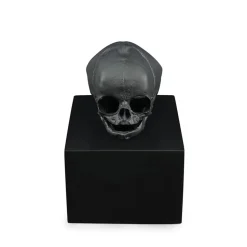 Crâne eternal Memory Damien Hirst & Lalique 2017 cire perdue
