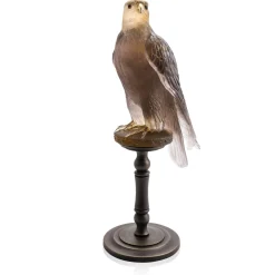 Faucon gerfaut daum par madeleine van der knoop