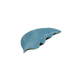 Feuille pothos menthe