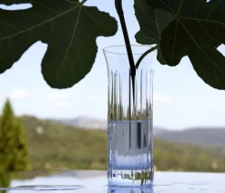 Flora vase biseau baccarat