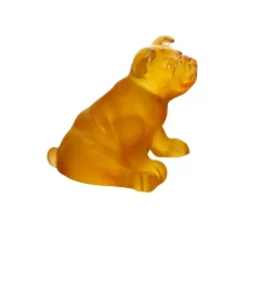 Mini chien ambre daum