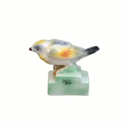 Oiseau bruant barbotine