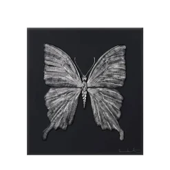 Papillon eternal Beauty Damien Hirst & Lalique 2015