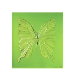 Papillon eternal Beauty Damien Hirst & Lalique 2015