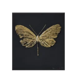 Papillon eternal Hope Damien Hirst & Lalique 2015