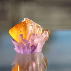 Poisson ambre violet § anemone pm daum