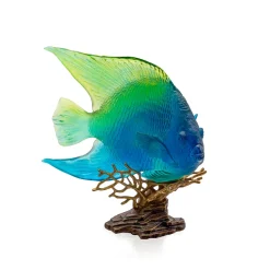 Poisson ange royal bleu jaune mer de corail daum