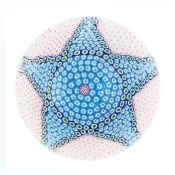 Presse-papier anémone saint-louis