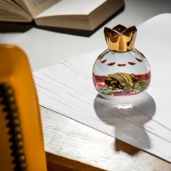 Presse-papier charmant saint-louis