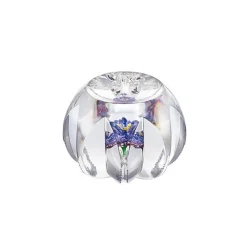 Presse-papier Ipomee 2019 Saint-Louis