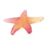 Étoile de mer rouge aurore daum