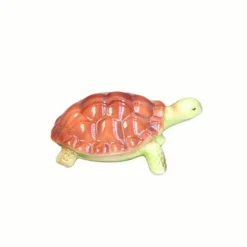 Tortue sur pattes barbotine