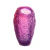 Vase coraux rouge violet daum
