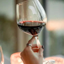 Verre 100 points bordeaux lalique