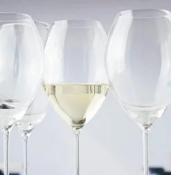 Verre dégustation Novo bourgogne Spiegelau