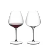 Verre vin Pinot Noir Nebbiolo Aperitivo GRAPE Riedel X2