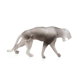 Wild panther grise orlinski pm daum