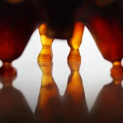 Zébu daum par xavier carnoy